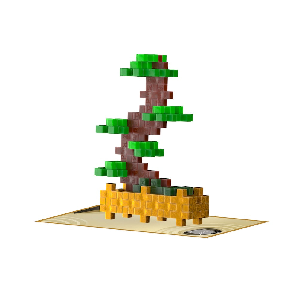 Balanced Bonsai Plant Packet