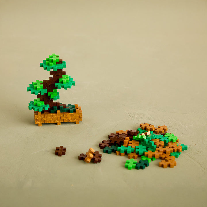 Balanced Bonsai Plant Packet