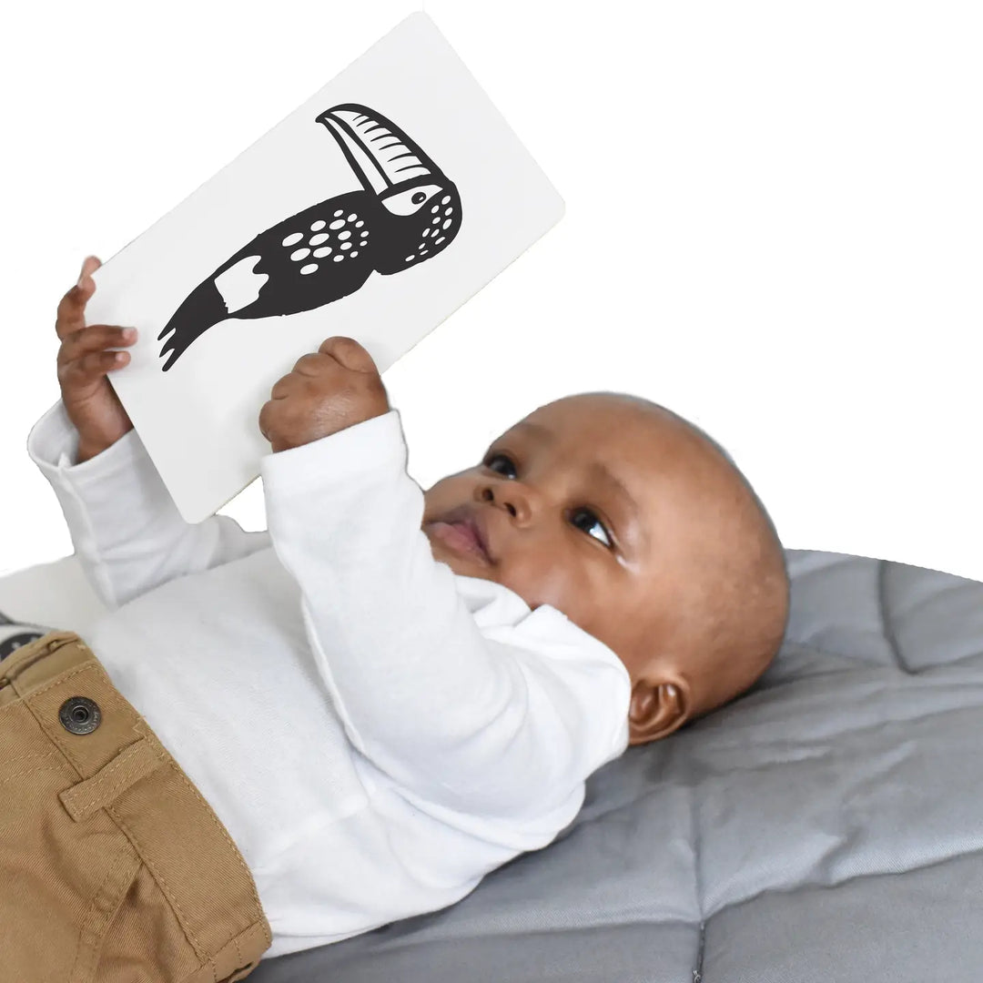 Rainforest Animal Baby Art Cards