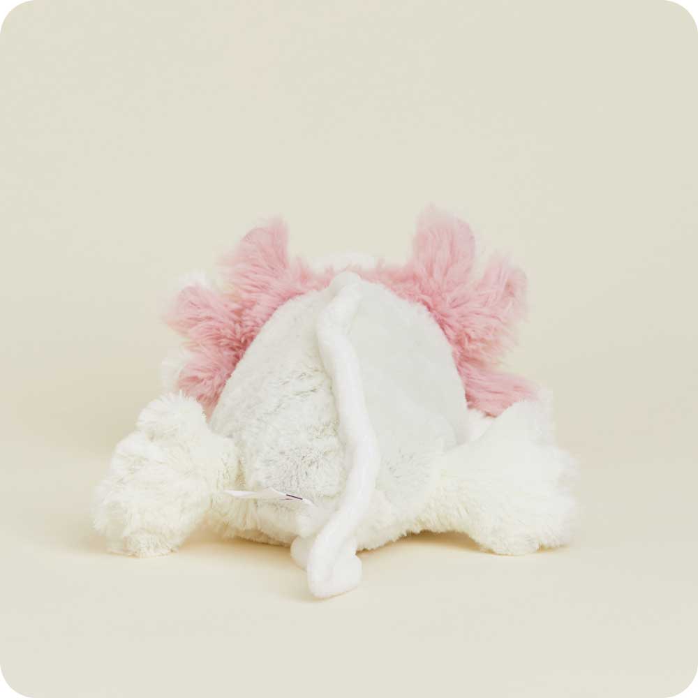 Axolotl Junior
