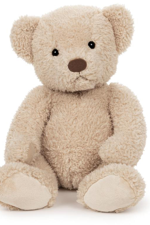Photo of blonde teddy bear 