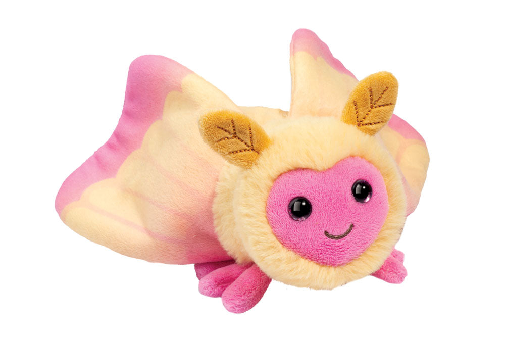 Rosy Maple Moth