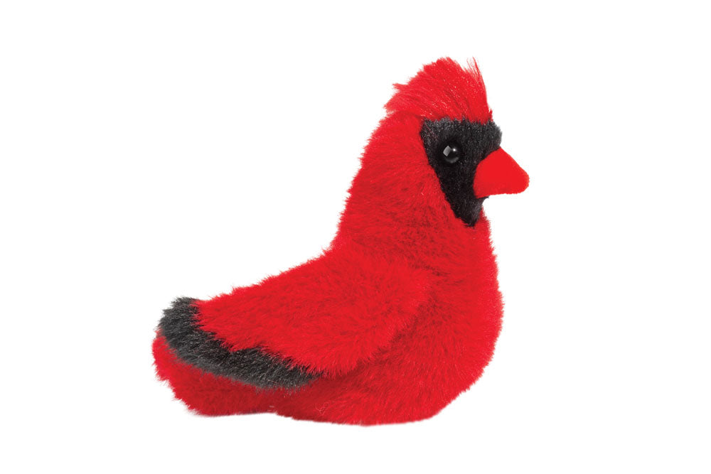 Carmine Cardinal