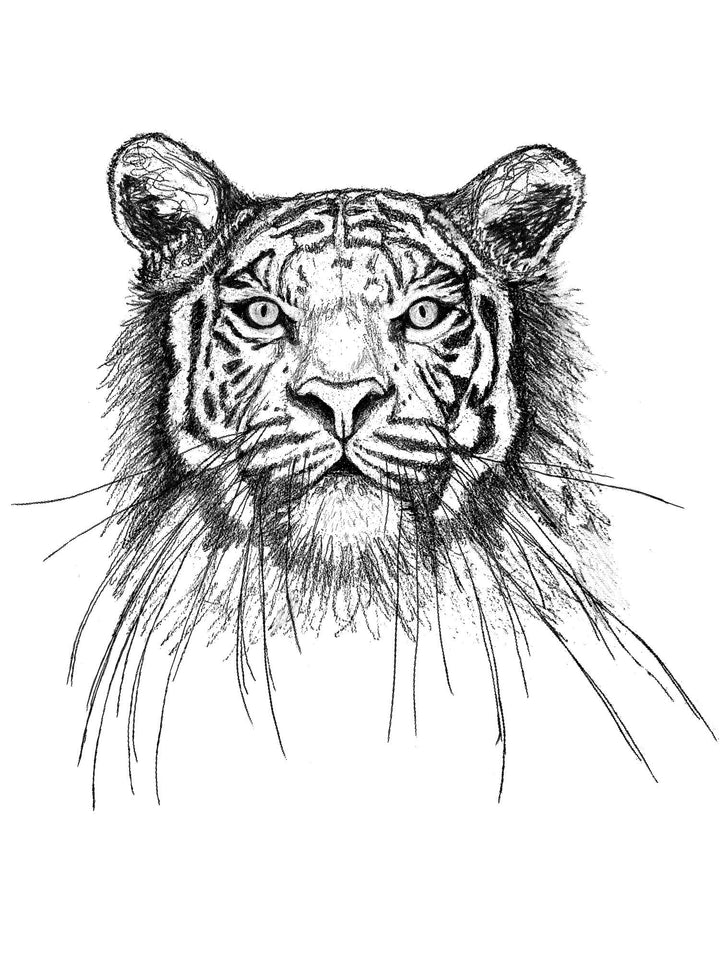 Tiger Organic Bodysuit