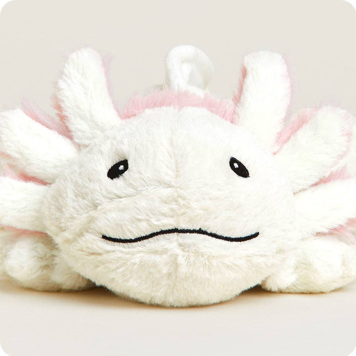 Axolotl