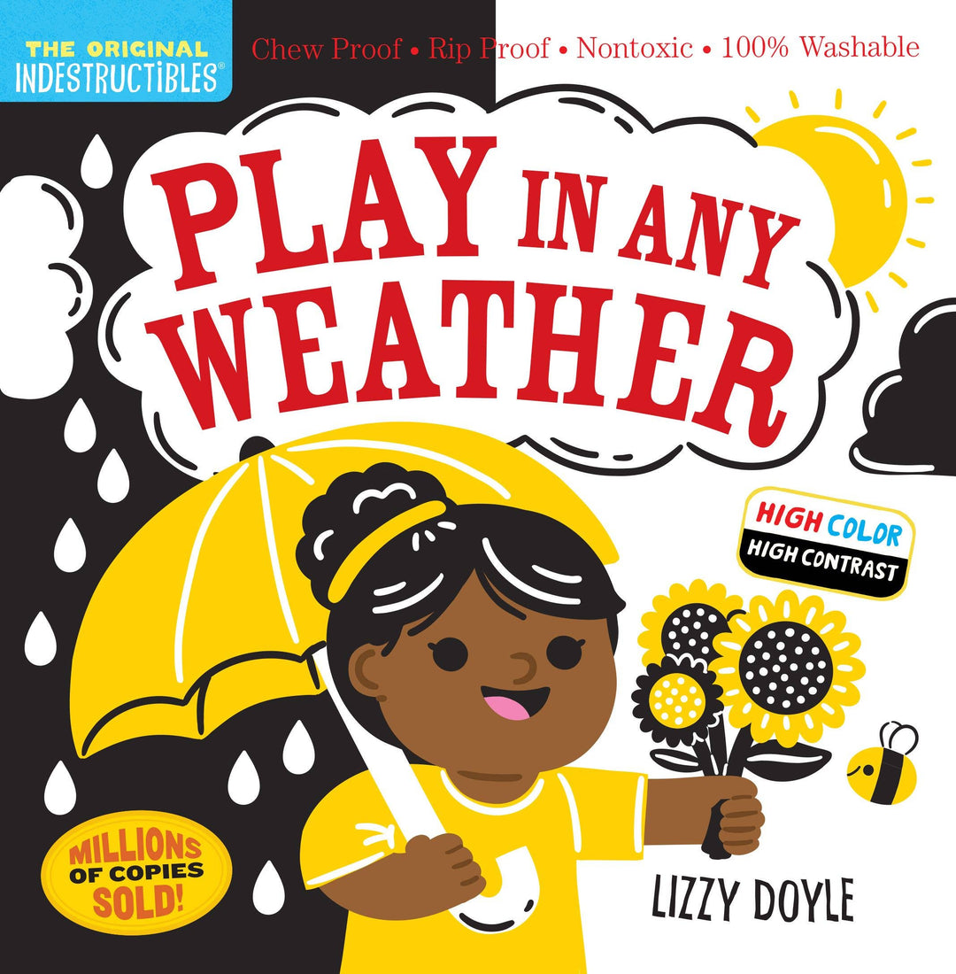 Play in Any Weather Book (High Contrast)