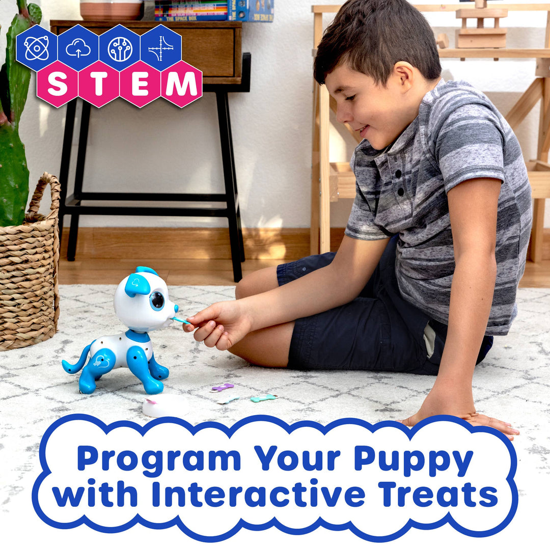 Robo Pet Dog STEM