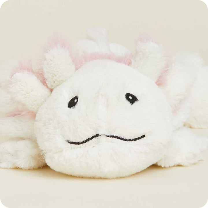 Axolotl Junior