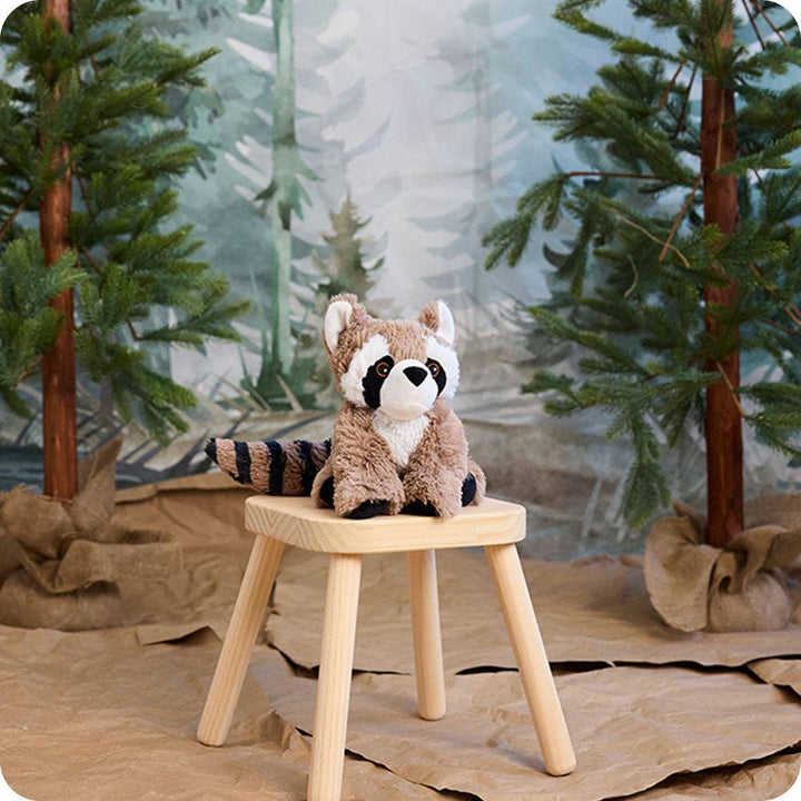 Raccoon