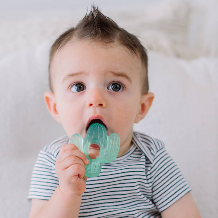 Water Filled Teethers: Silly Foods