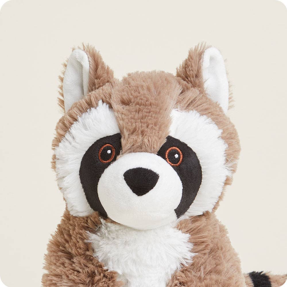 Raccoon