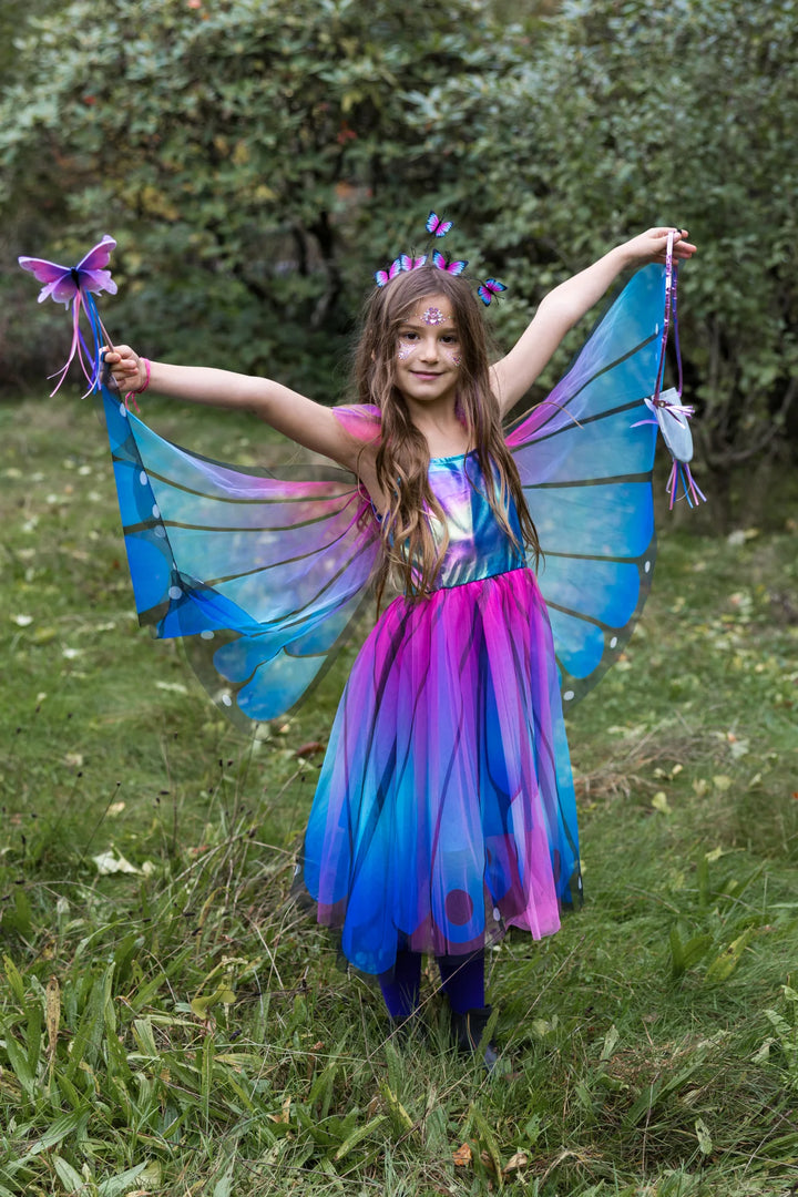 Butterfly Twirl Dress & Wings