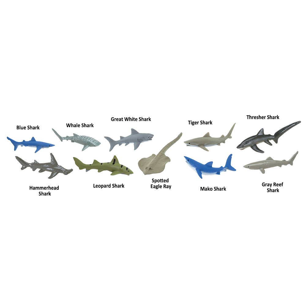 Sharks TOOB
