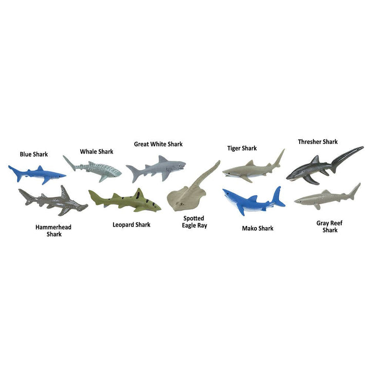 Sharks TOOB
