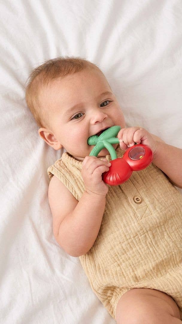 Silicone Teether with Rattle: Goose