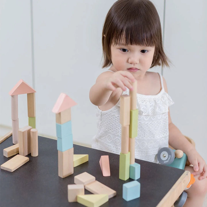 40 Pastel Wooden Blocks