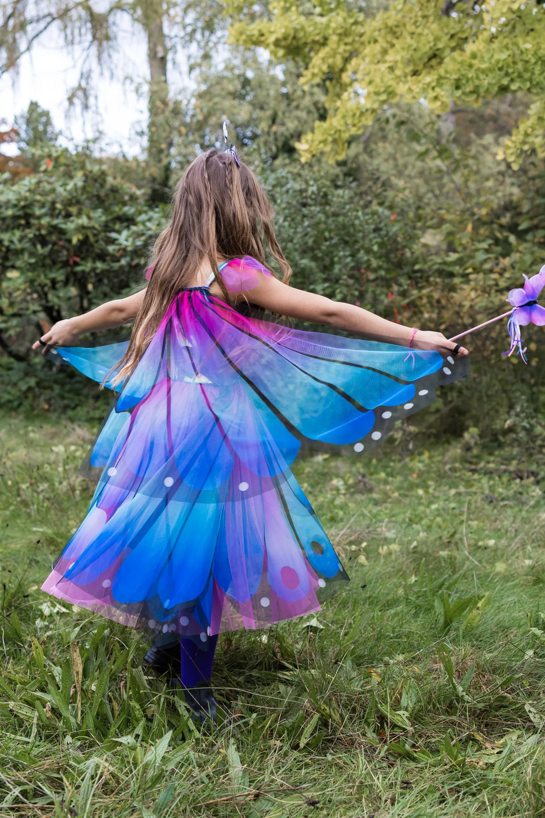 Butterfly Twirl Dress & Wings