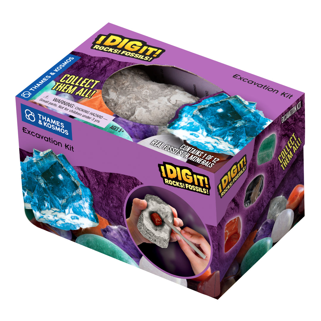 Dig Fossils & Rocks Egg