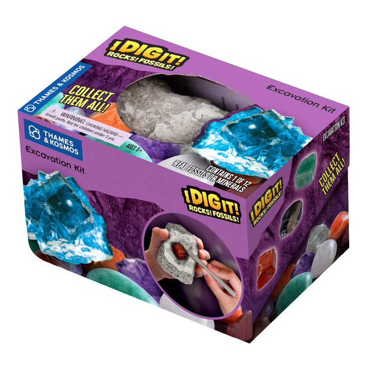 Dig Fossils & Rocks Egg