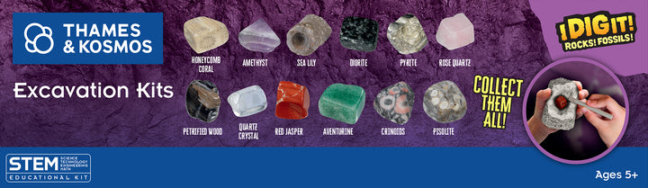 Dig Fossils & Rocks Egg