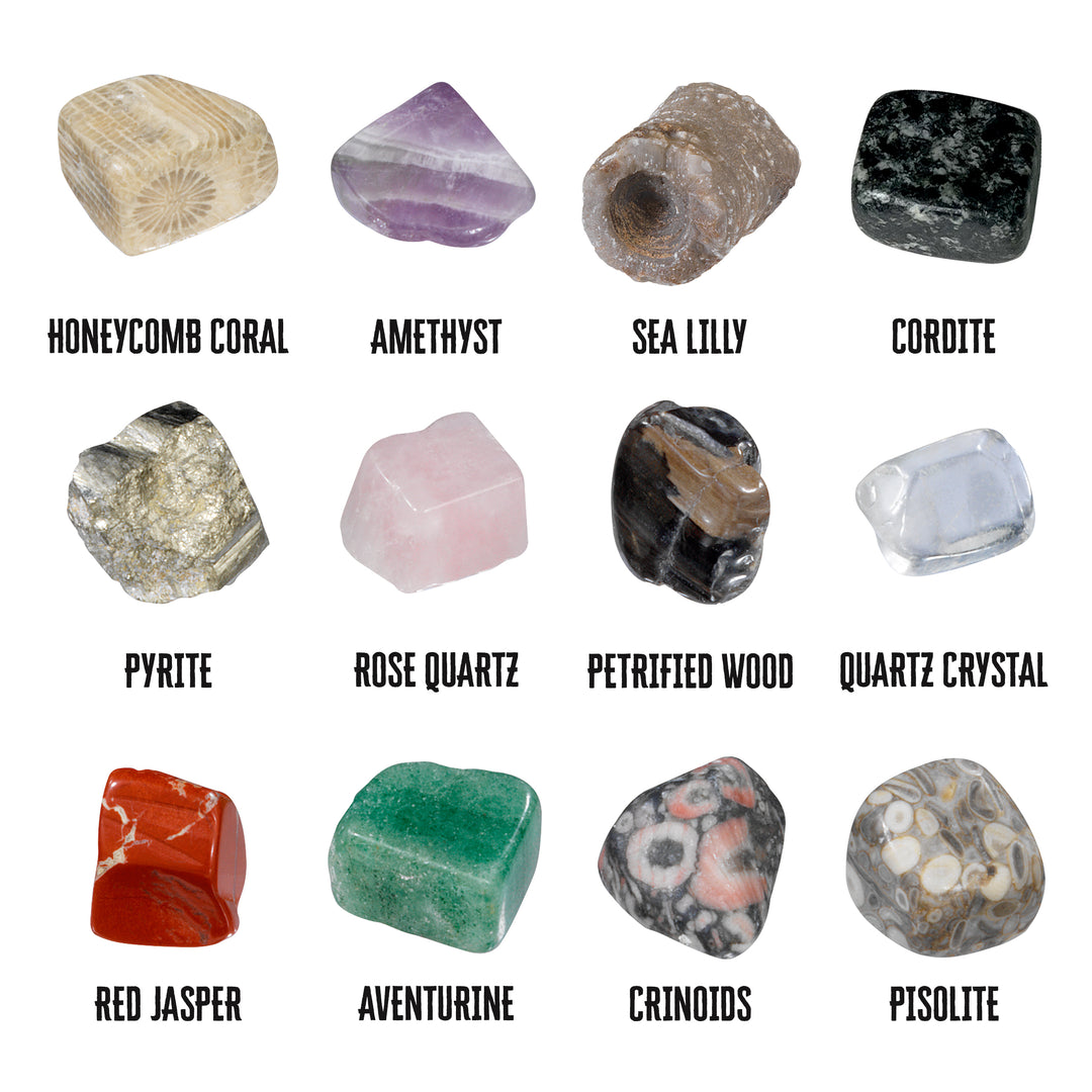 Dig Fossils & Rocks Egg