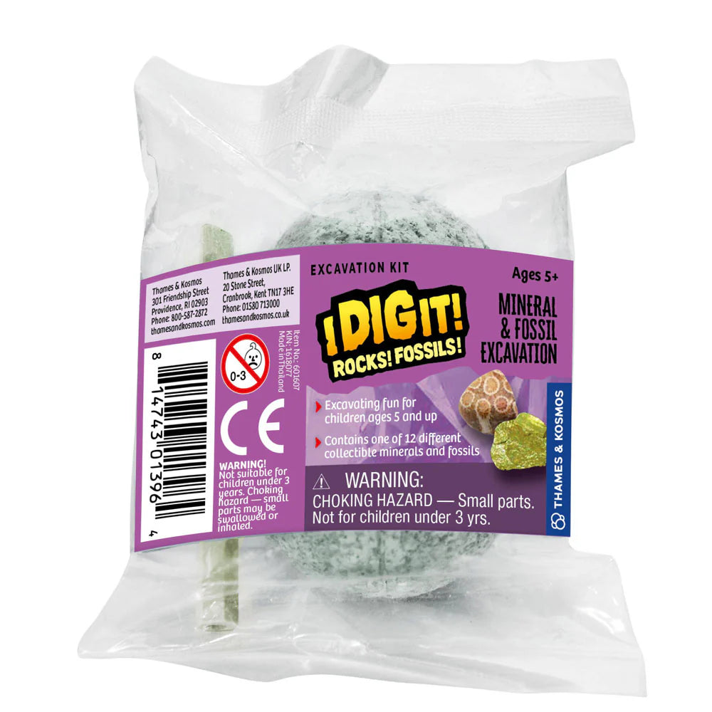 Dig Fossils & Rocks Egg
