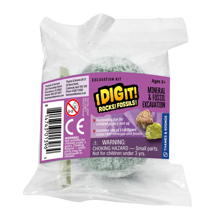Dig Fossils & Rocks Egg
