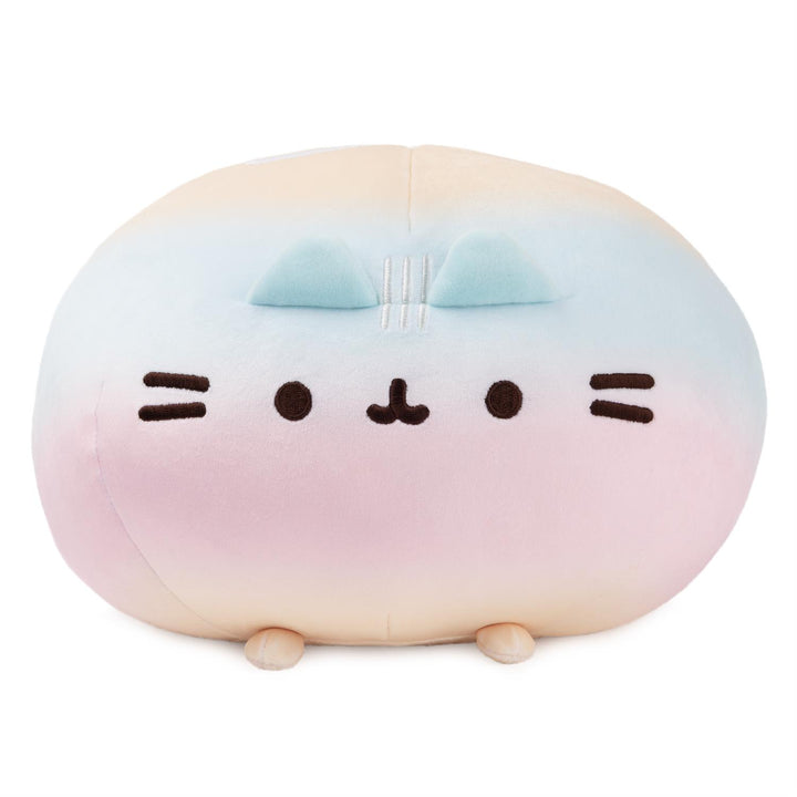 Rainbow Round Pusheen Squisheen