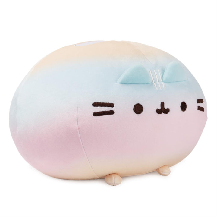 Rainbow Round Pusheen Squisheen