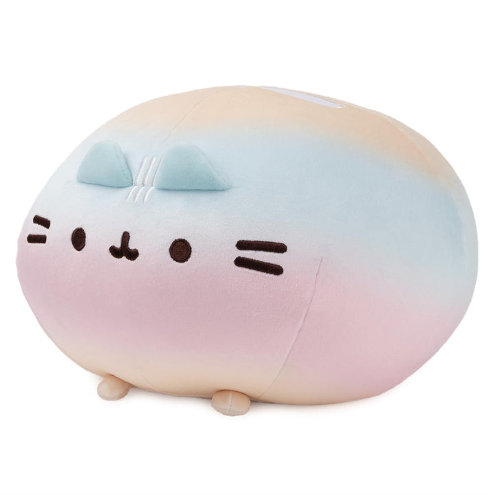 Rainbow Round Pusheen Squisheen