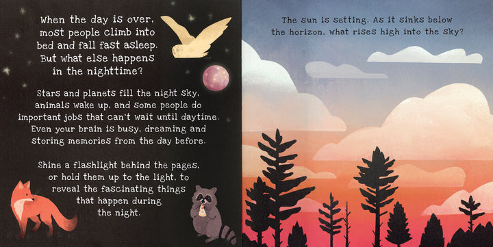 Shine-A-Light Book, Nighttime