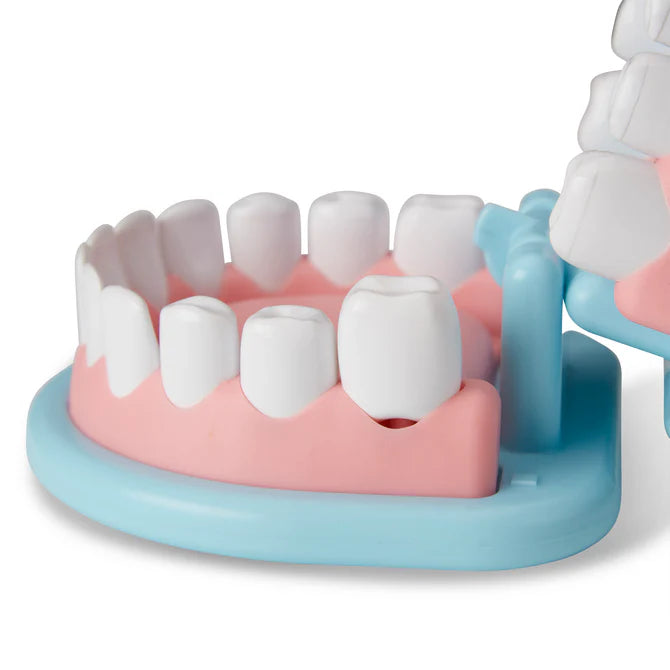 Dentist Play Set
