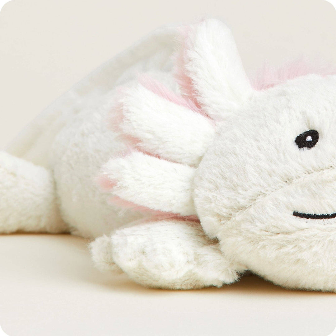 Axolotl