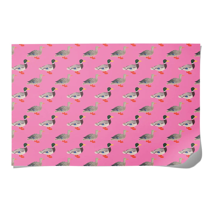 Quacky Birthday Birthday Wrapping Paper Roll of 3 Sheets