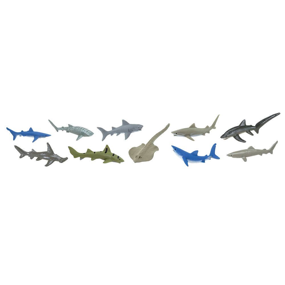 Sharks TOOB