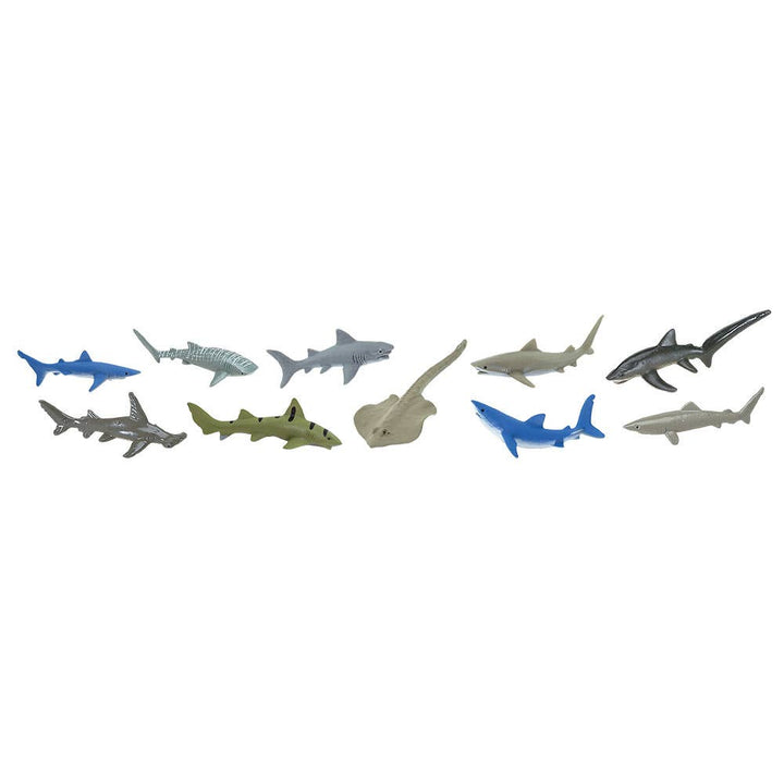 Sharks TOOB