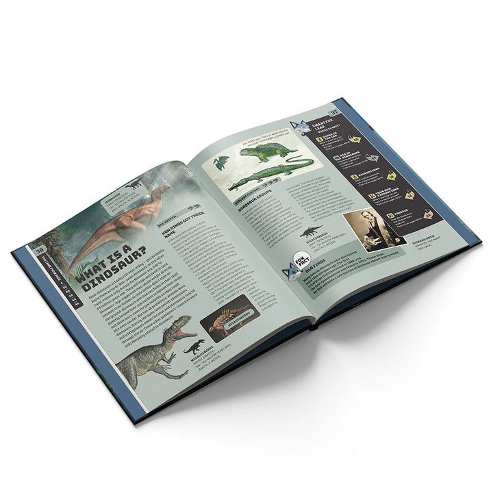 Dinosaurs Smart Fox book