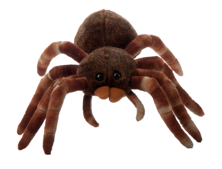 Tarantula 12"