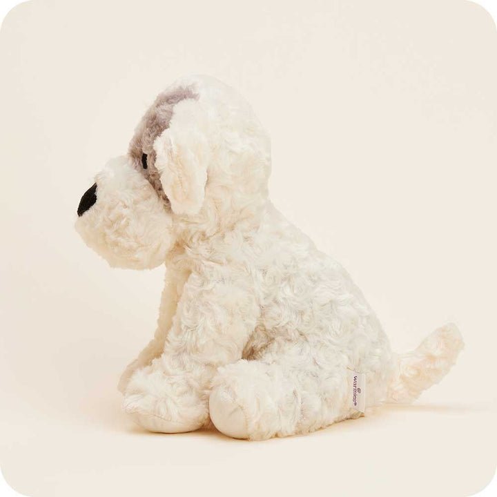Patch Curly Dog