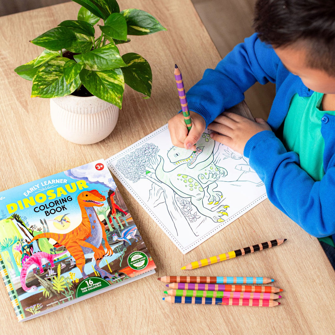 Dinosaurs Coloring Book