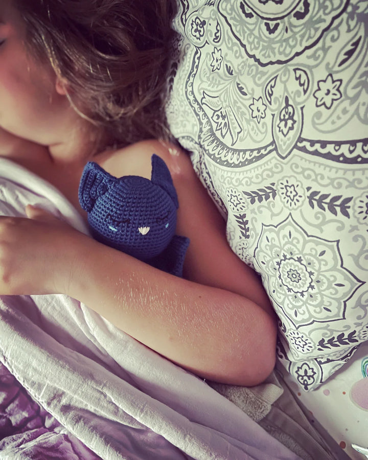 Bat Sleepover Friends