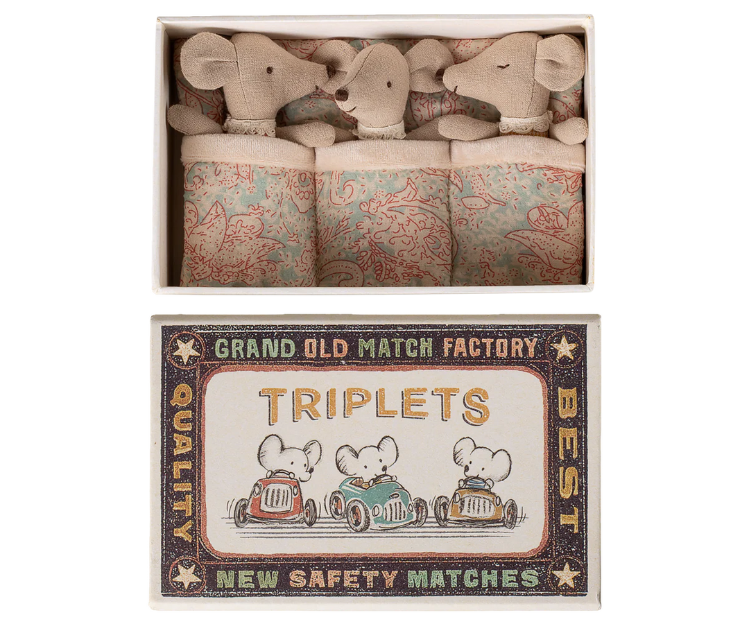 Triplets, Baby mice in matchbox Checker
