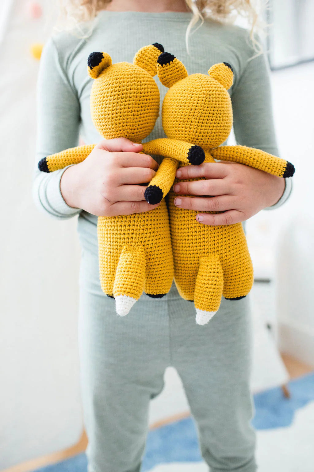 Fox Sleepover Friends