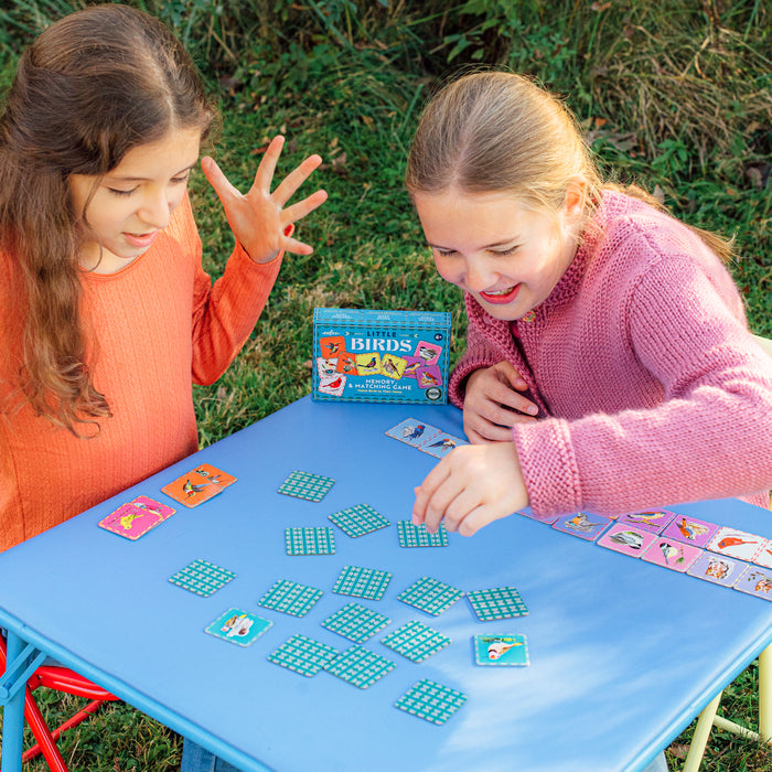 Birds Little Memory and Matching Game