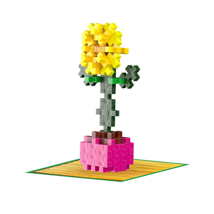 Sociable Sunflower Plant Packet