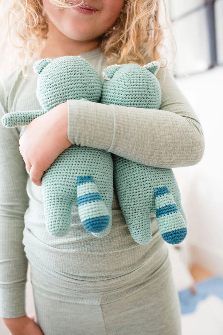 Raccoon Sleepover Friends