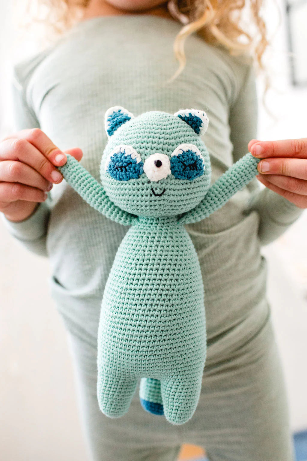 Raccoon Sleepover Friends