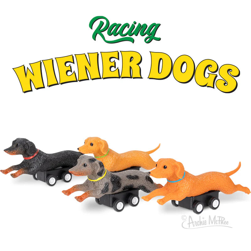 Racing Pull-Back Wiener Dogs