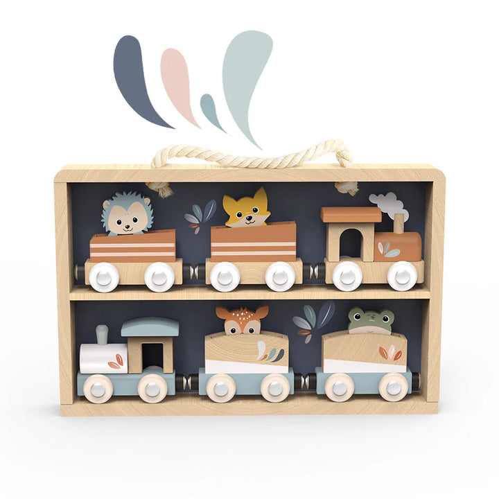 Train Set Display Case