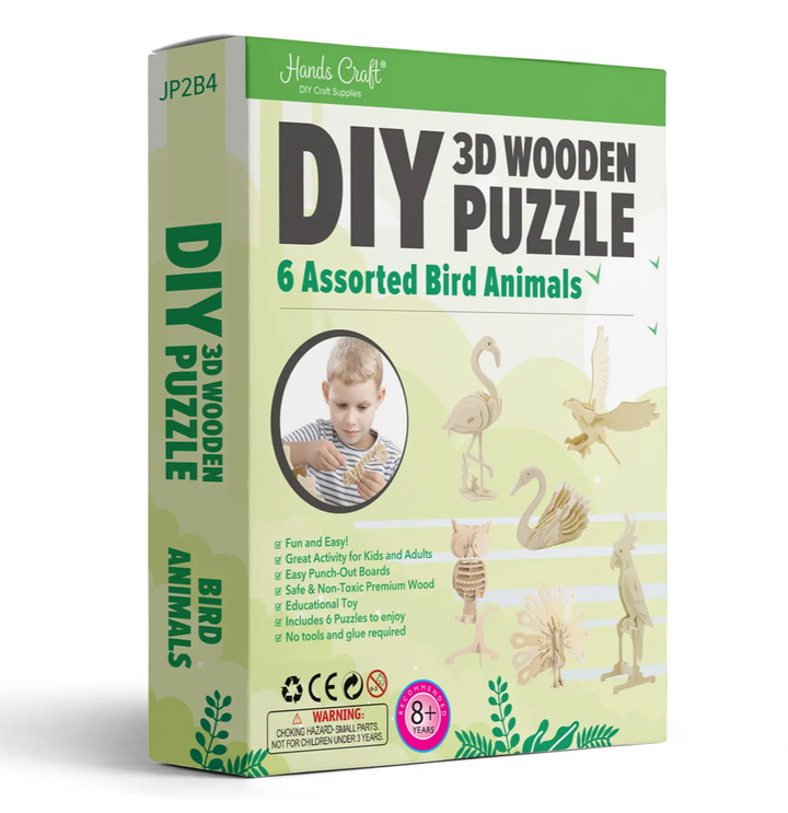 DIY 3D Wooden Puzzle 6 Count